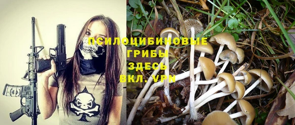 дживик Зерноград