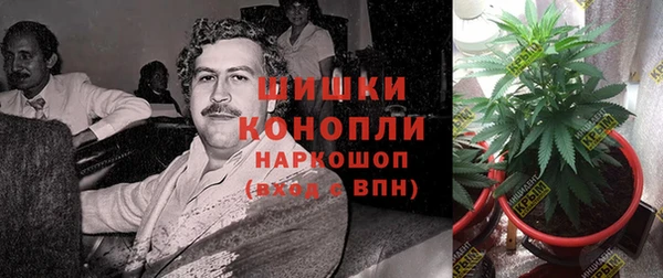 амф Зеленодольск