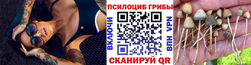 Псилоцибиновые грибы GOLDEN TEACHER  Купить  Уварово 